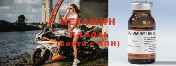 стаф Вязьма