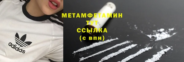 стаф Вязьма