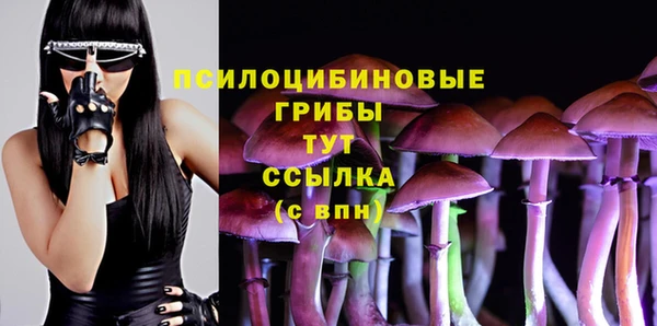 МДПВ Вязники